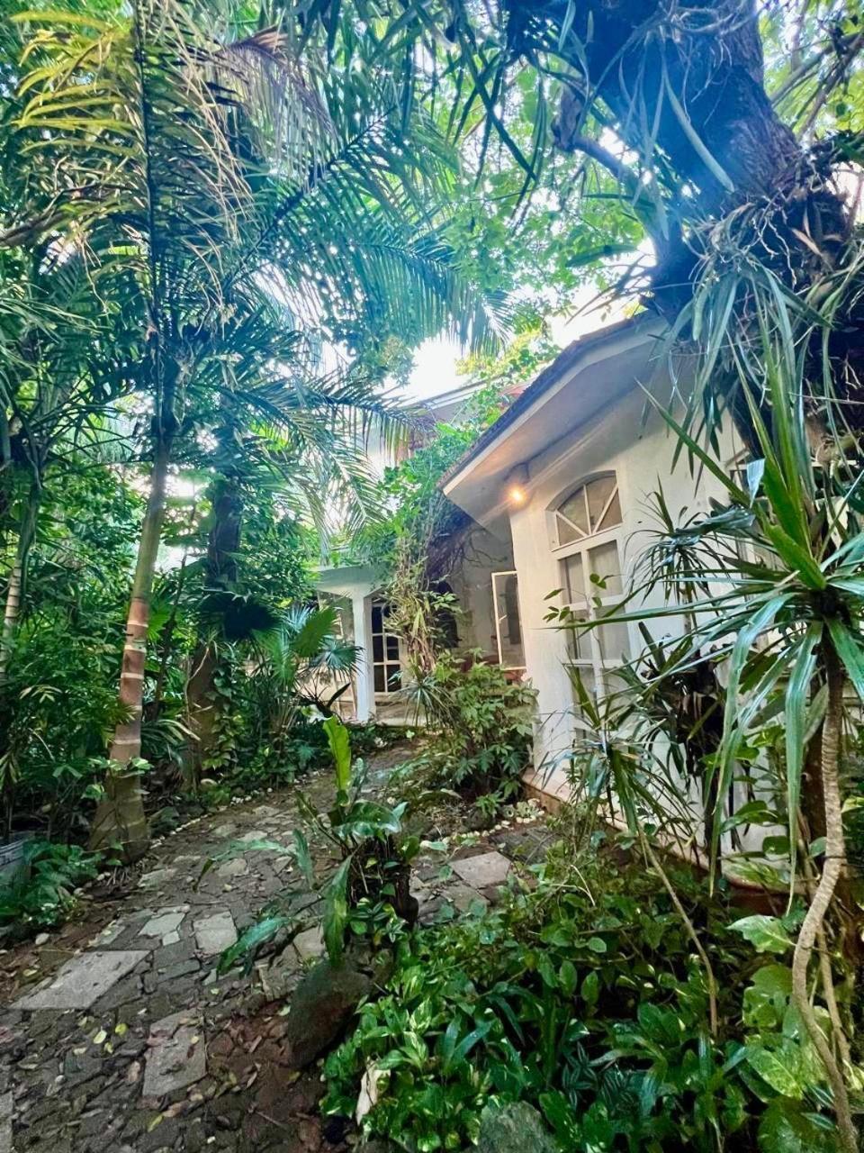 Casa Del Arquitecto Apartment Cancun Bagian luar foto